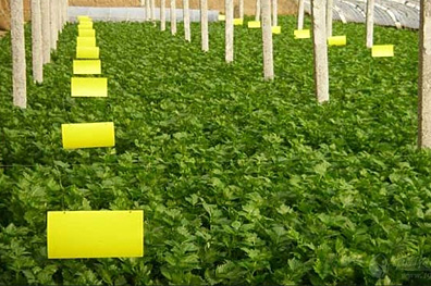 ճ�x�Tω�����z�đ���ʾ��D